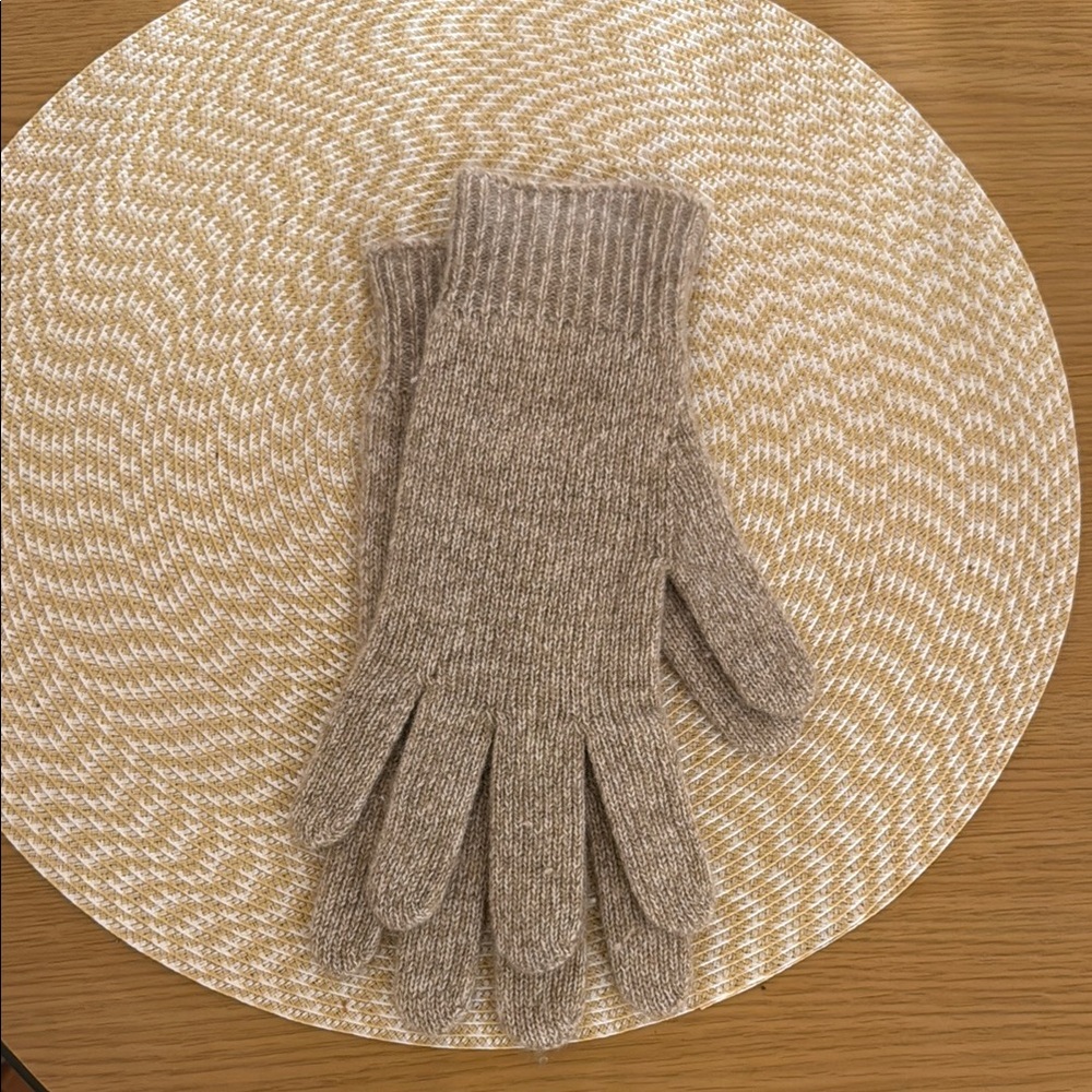 Max Mara Cozy Knit Cashmere Gloves in Taupe